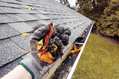 Prevent Water Damage to Your Home with Gutter Leaf Removal Service!