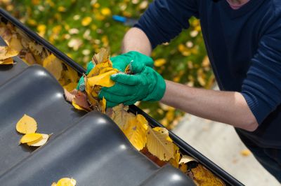 Extend the Life of Your Gutters with Gutter Leaf Removal Service!