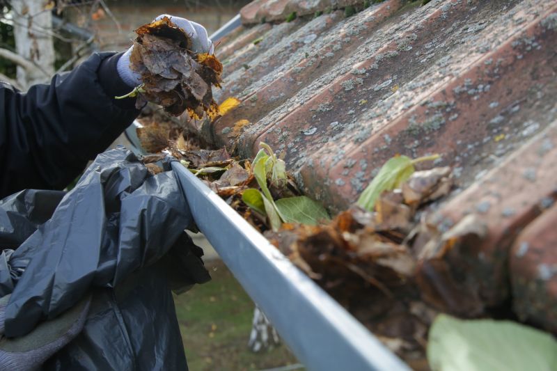 Gutter Leaf Removal