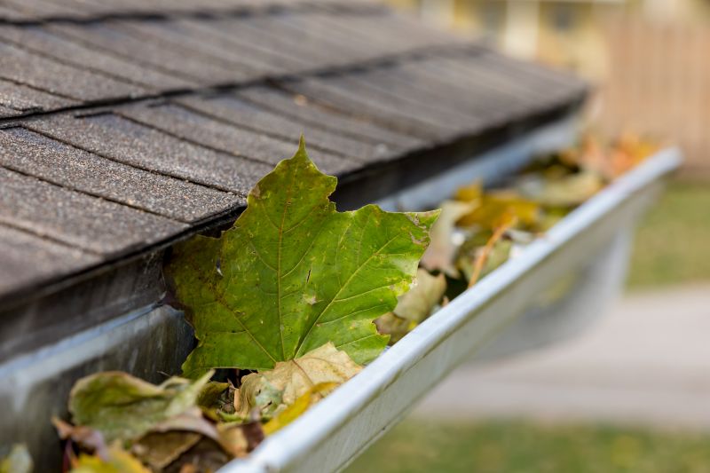 Gutter Leaf Removal Costs — Cost of Gutter Leaf Removal