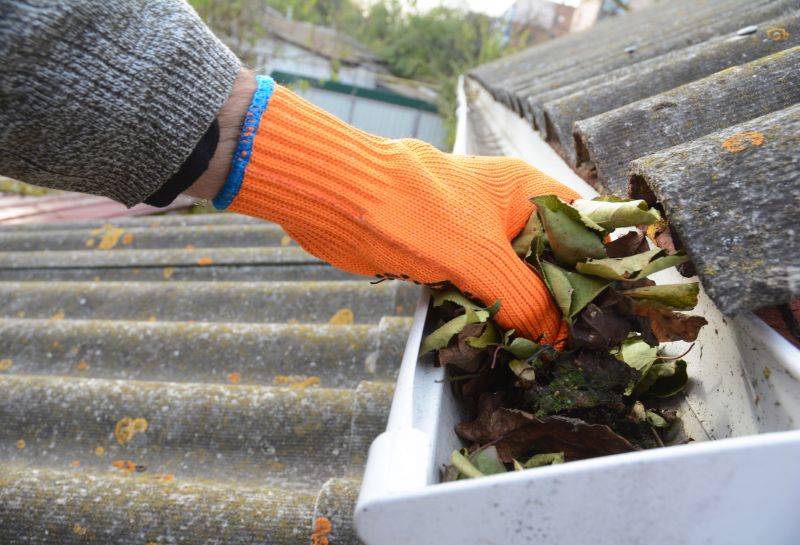 Gutter Leaf Removal