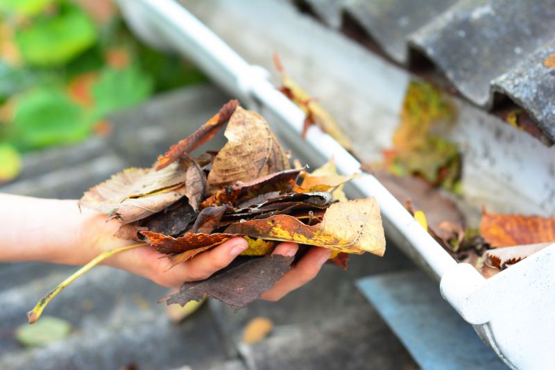 Gutter Leaf Removal