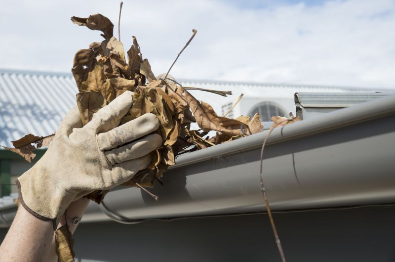 Gutter Leaf Removal
