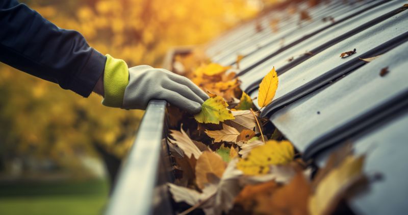 Gutter Cleaning in Autumn