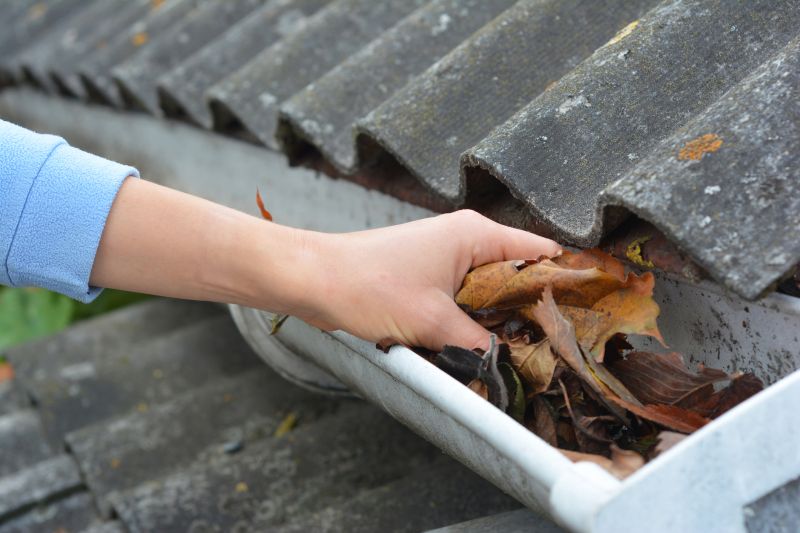 Clean Gutter System