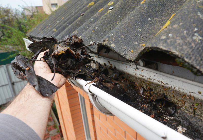 Clogged Gutter Damage