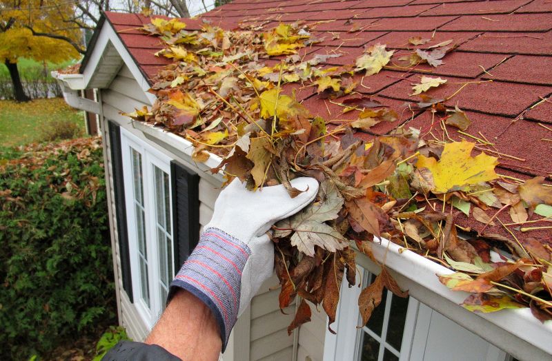 Contact About Gutter Leaf Removal