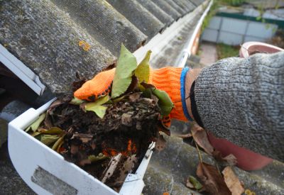 Avoid Damage to Your Roof and Siding with Gutter Leaf Removal!